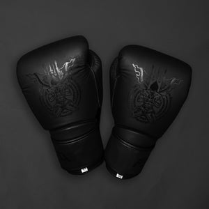Boxing Gloves FSA ''Nak Muay''