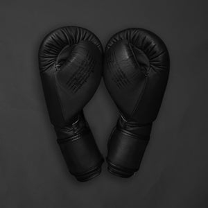 Boxing Gloves FSA ''Nak Muay''