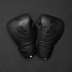Boxing Gloves FSA ''Twin Tiger''